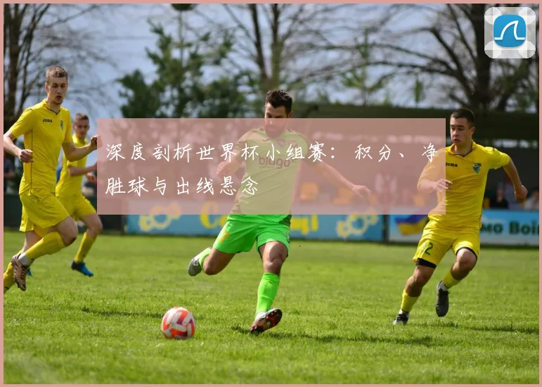 深度剖析世界杯小组赛：积分、净胜球与出线悬念