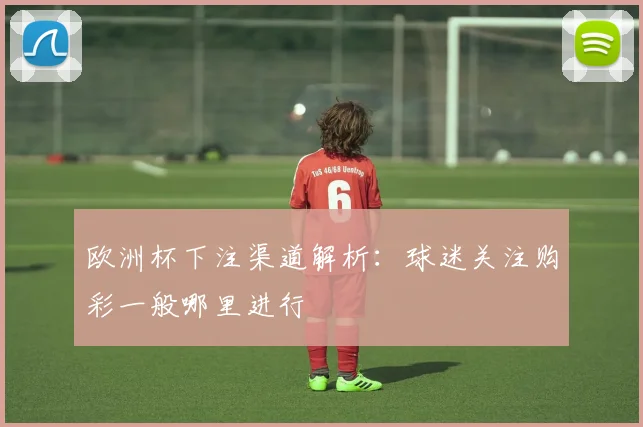 欧洲杯下注渠道解析：球迷关注购彩一般哪里进行
