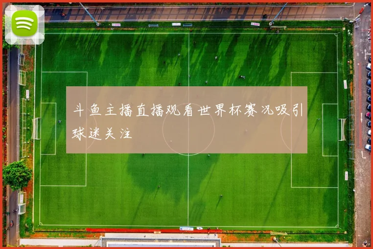 斗鱼主播直播观看世界杯赛况吸引球迷关注