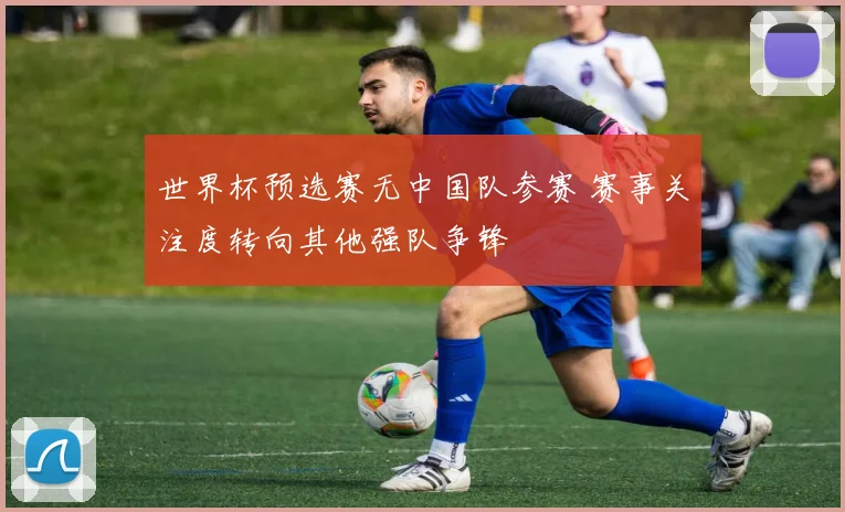 世界杯预选赛无中国队参赛 赛事关注度转向其他强队争锋