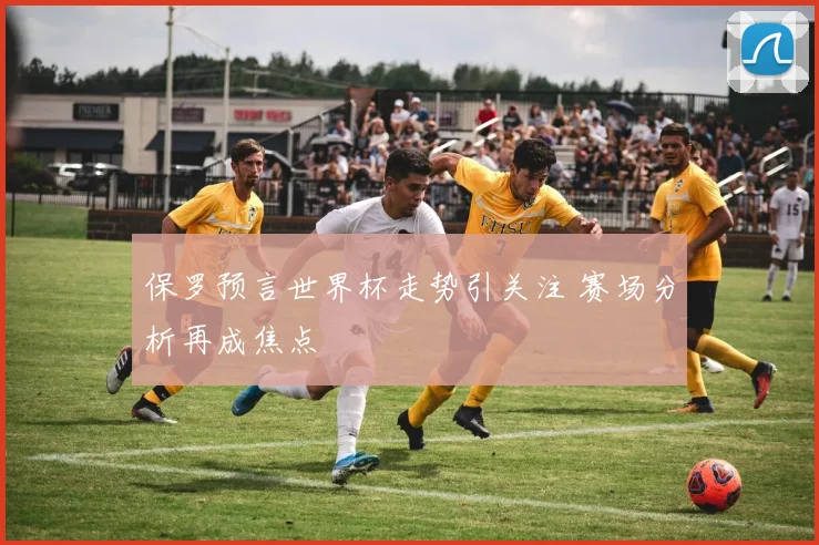 保罗预言世界杯走势引关注 赛场分析再成焦点