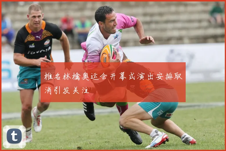 椎名林檎奥运会开幕式演出安排取消引发关注