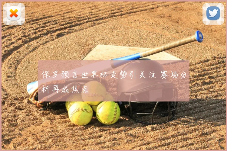 保罗预言世界杯走势引关注 赛场分析再成焦点